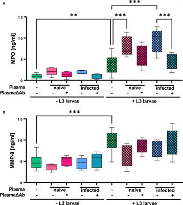 Corrigendum: Eosinophils and Neutrophils Eliminate Migrating Strongyloides ratti Larvae at the Site of Infection in the Context of Extracellular DNA Trap Formation